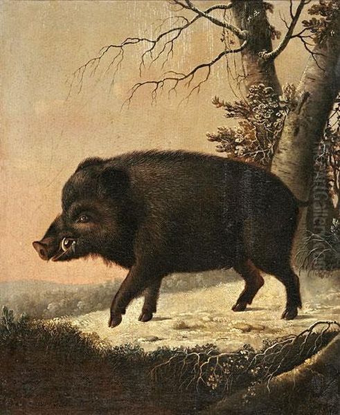 Retrato De Un Jabali Cazado Por El Conde De Darmstadt - view 1