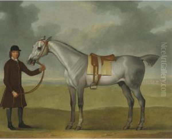 Mr. Thomas Panton's Crab, A Grey Racehorse, Being Held By A Groom On Newmarket Heath - view 1