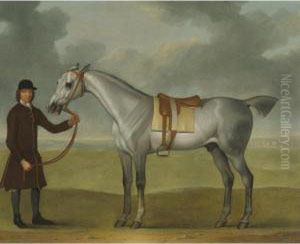 Mr. Thomas Panton's Crab, A Grey Racehorse, Being Held By A Groom On Newmarket Heath