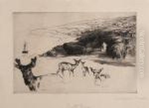 Untitled - view 1