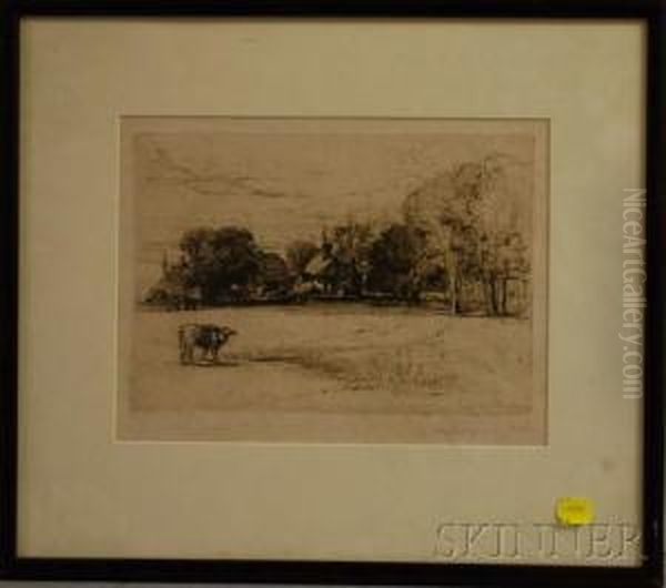 Single Cow In Meadow - view 1