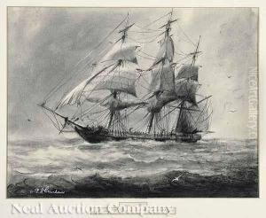 To The Southward Of [the Cape] Of Good Hope by Ray P. Shanahan