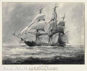 To Thesouthward Of [the Cape] Of Good Hope by Ray P. Shanahan