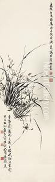 Orchids - view 1