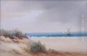 The Coast From The Sand Dunes by John Shapland