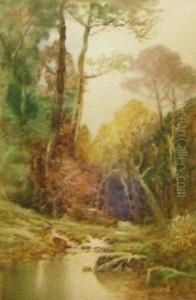 A Woodland Pool by John Shapland