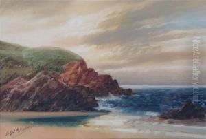 Coastal Scene by John Shapland