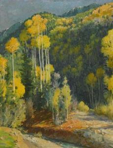 Mountain Aspens Hondo Canon - view 1