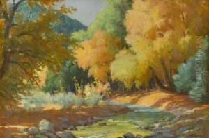 Cottonwoods And (ivory) Elder, Taos Canon, New Mexico