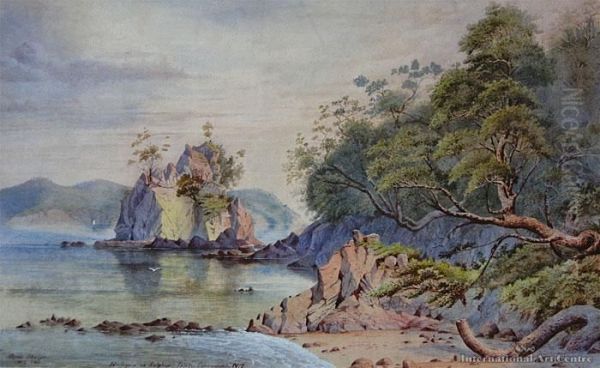 Harlequin And Sulphur Inlet, Coromandel - view 1