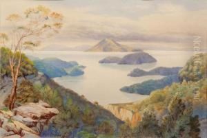 Pelorus Sounds Pelorus Sounds