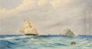 Off East Cape Islet Nz Off East Cape Islet Nz
