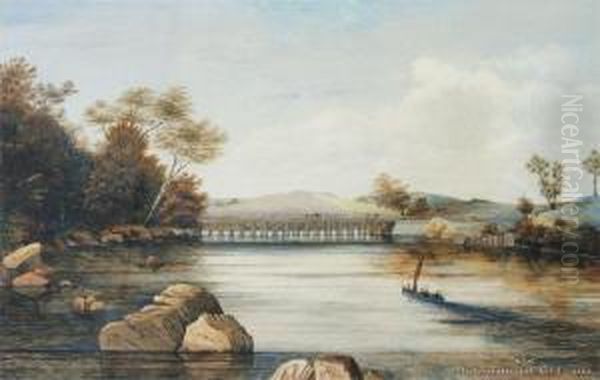 Gathering Firewood Near Orakei Bridge - view 1