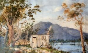 Speers Point & Lake Macquarie, Newcastle by Alfred Sharpe