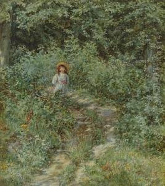 A Path Through The Wood - view 1