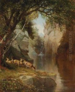 Deer In The Adirondacks by Aaron Draper Shattuck