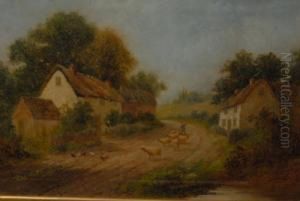 Sheep Lane, Nottingham