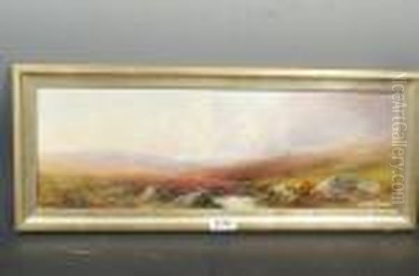 Dartmoor - view 1