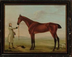 Groom With A Race Horse