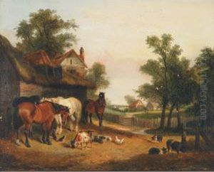 Noonday Rest