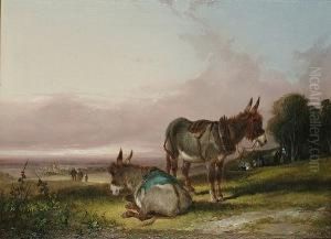 Donkeys Resting Beside A Gypsy Encampment