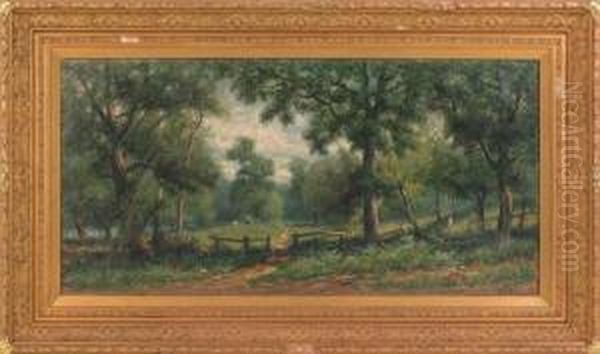 Wooded Landscape - view 1