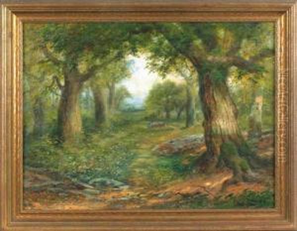 Wooded Landscape - view 1