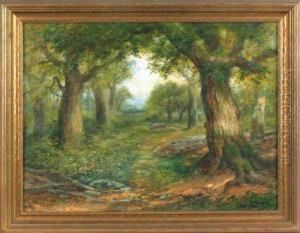 Wooded Landscape Wooded Landscape