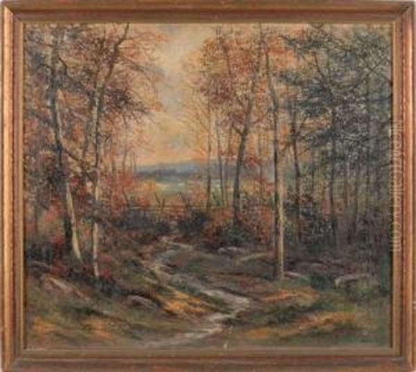 Landscape - view 1