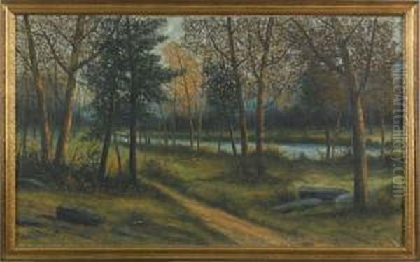 Landscape - view 1