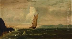 Bay by Charles Dyer Shed
