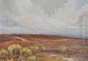North Downs Nearguildford by Charles Shepherd