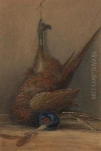 Pheasant In The Larder