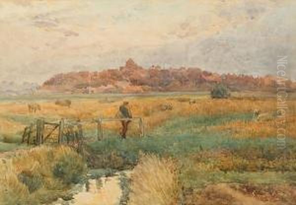 Sheep Grazing Before A Town - view 1
