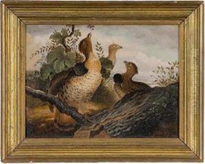 Bird Painting by Edwin Sheppard