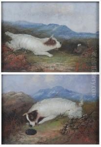 Terrier Pursuing A Rabbit; A Mouthful Ofprickles by J. Warren Sheppard