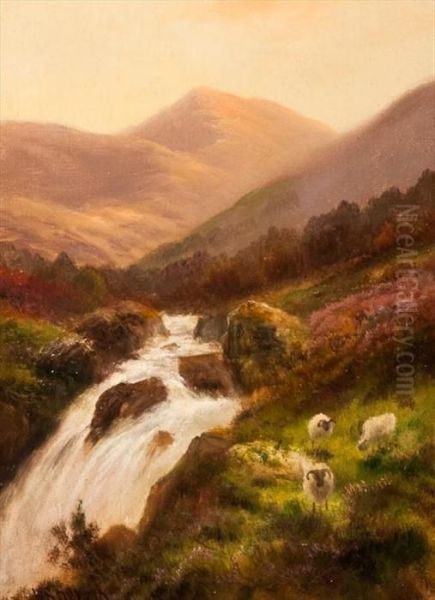 Highland Burn With Sheep - view 1