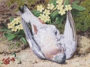 Still Life Of A Pigeon With Primroses On A Mossy Bank by John Sherrin