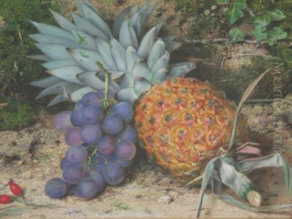 Pineapple And Grapes - view 1