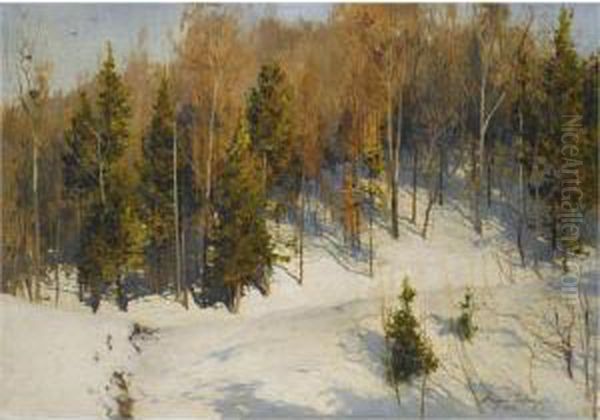 Winter Sun - view 1