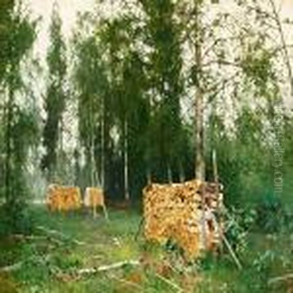 Spring Forest With Piled Birch Wood - view 1