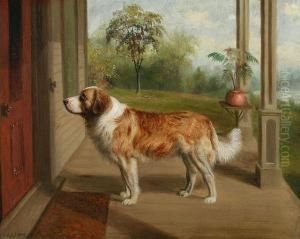 St. Bernard On A Front Porch by Sylvester Musgrave