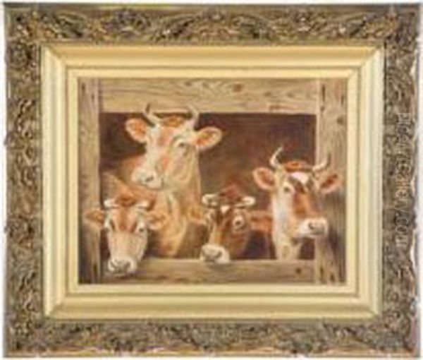 Portrait Of Cows - view 1