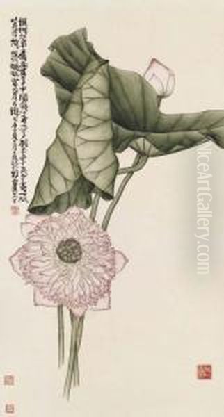 Lotus - view 1