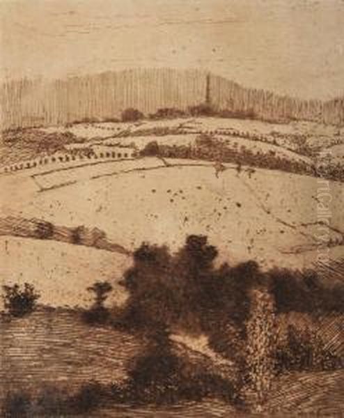 Landscape - view 1
