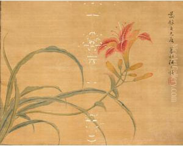 Lily - view 1