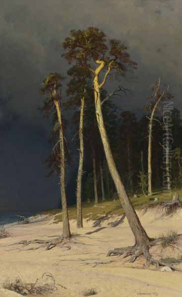 Sandy Coastline - view 1