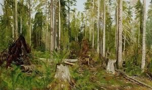 Pine Forest; A Study by Ivan Shishkin