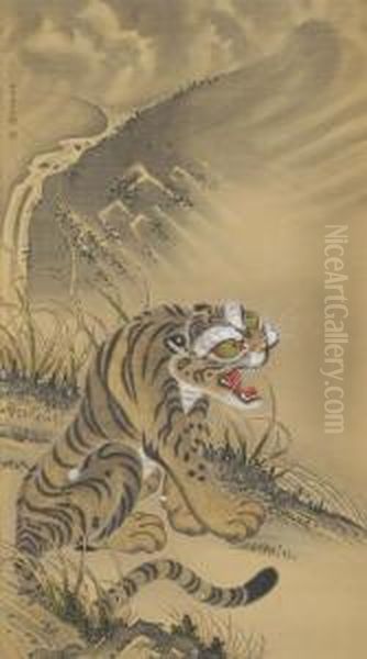 Tiger - view 1