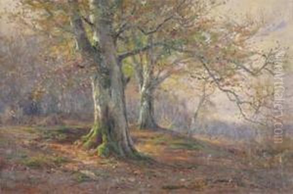 Autumn In The Woods - view 1